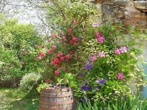 Vallee Du Lot Дом отдыха